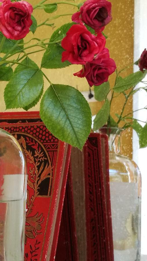 Maset Del Garraf Guest House Olesa de Bonesvalls Ngoại thất bức ảnh
