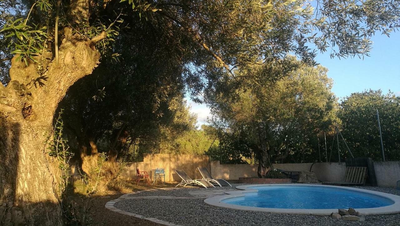 Maset Del Garraf Guest House Olesa de Bonesvalls Ngoại thất bức ảnh